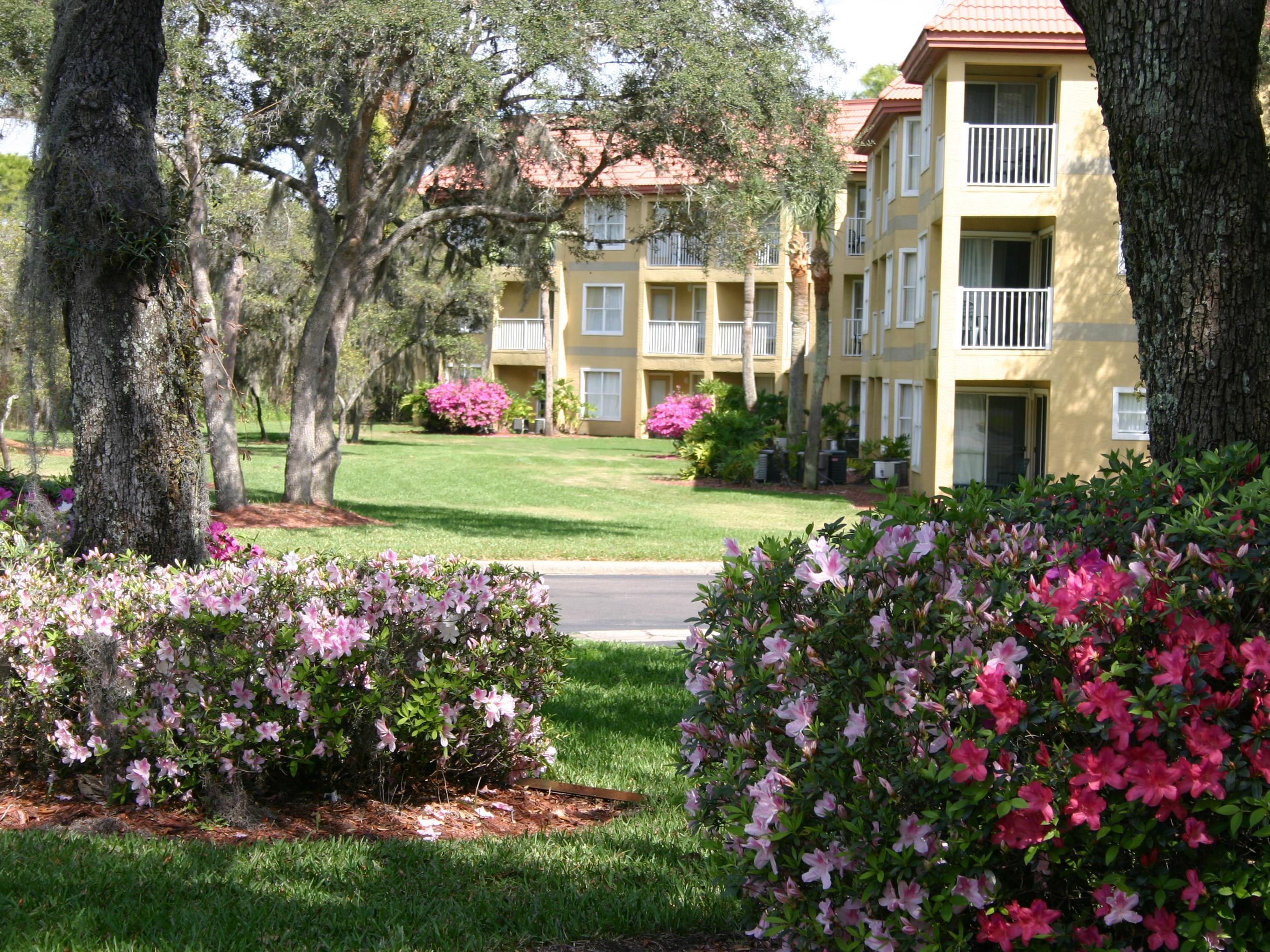 Williamsburg Parc Corniche Condominium Suites מראה חיצוני תמונה